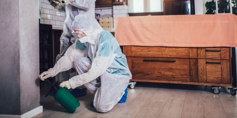 Dedetização em Apartamento Como Funciona em Petrópolis: Confira 4 Passos