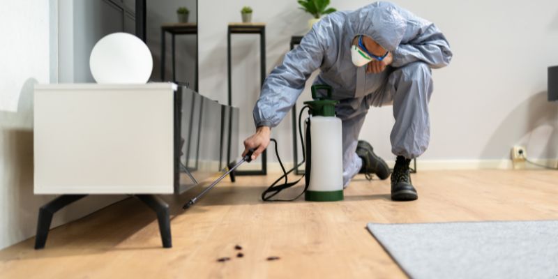 Quanto tempo dura uma dedetização em Petrópolis?